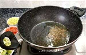 Turai Moong ki Sabzi